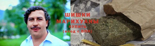 spice Богданович